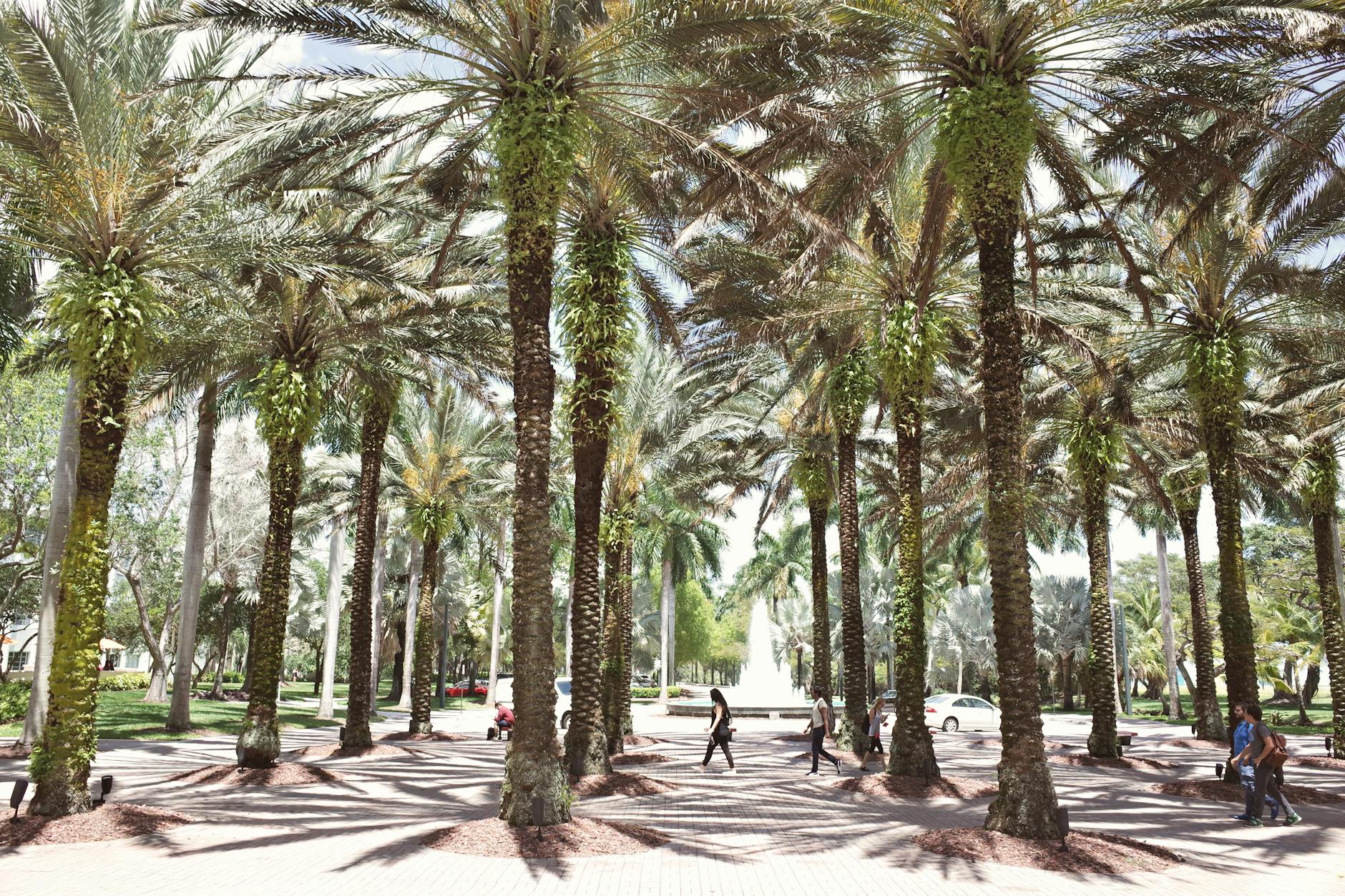 Estudiar en Suiza: Guia Completa para Latinos February 2020