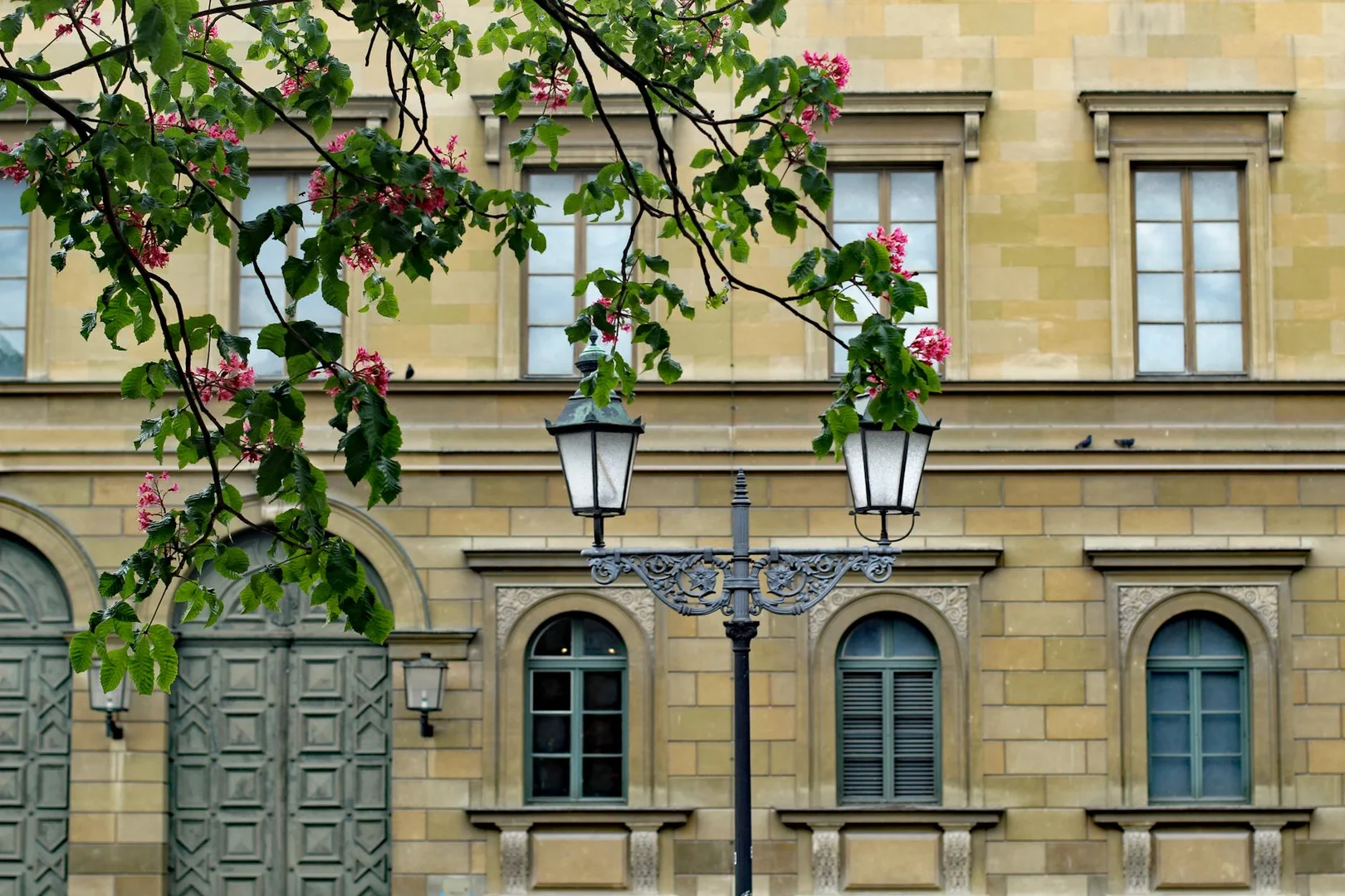 Obtener Residencia Permanente en Alemania