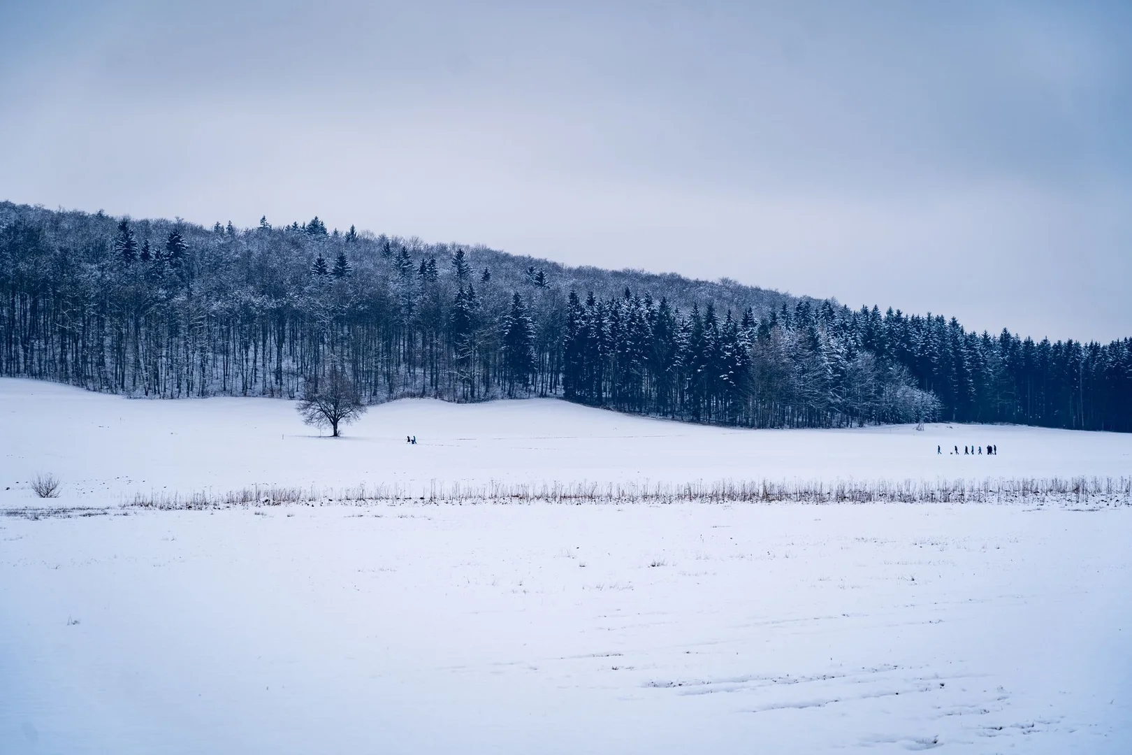 Sobrevivir tu Primer Invierno en Alemania