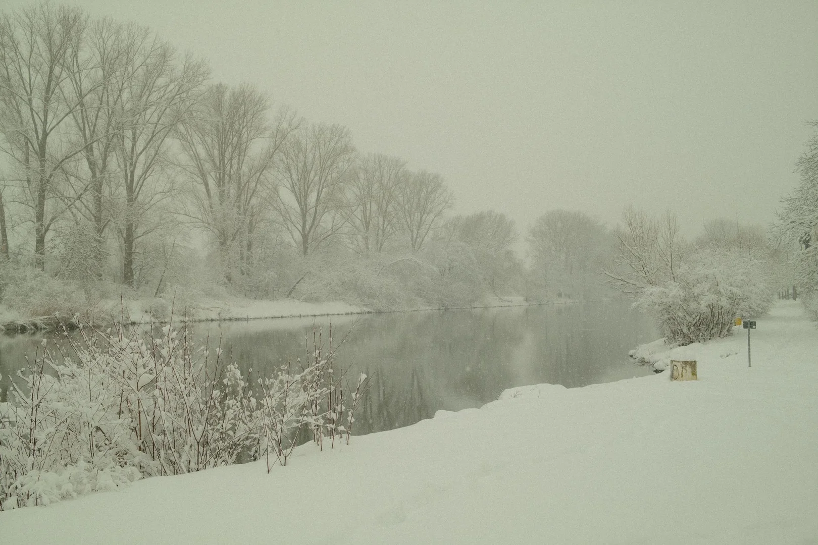 Sobrevivir tu Primer Invierno en Alemania