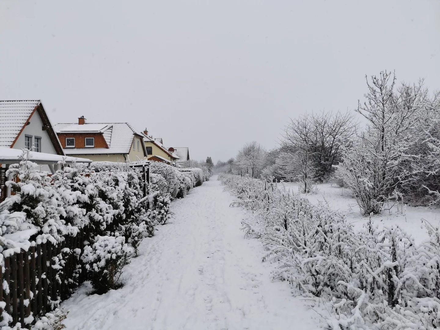 Sobrevivir tu Primer Invierno en Alemania
