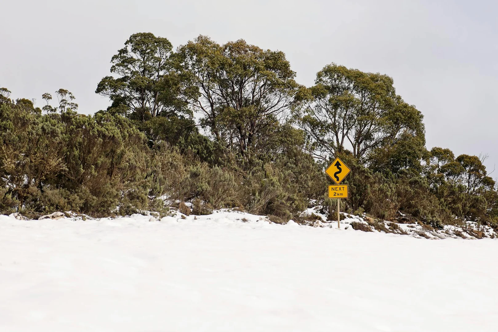 Sobrevivir tu Primer Invierno en Australia