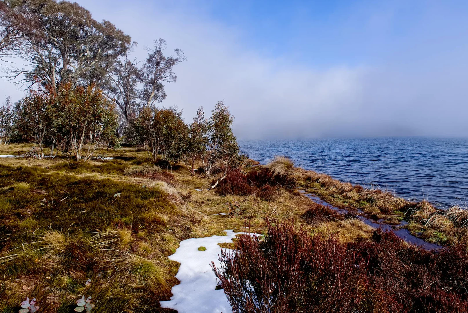 Sobrevivir tu Primer Invierno en Australia