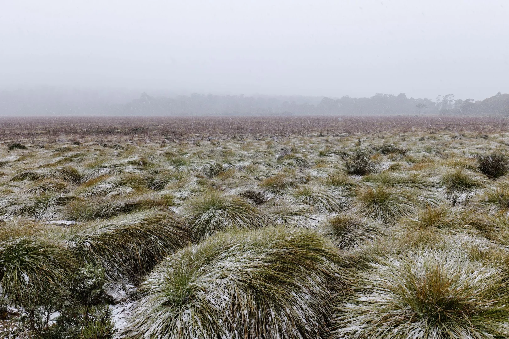 Sobrevivir tu Primer Invierno en Australia