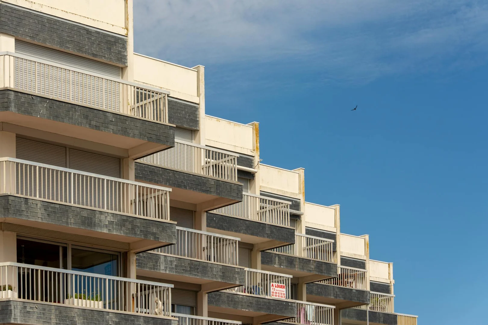 Guia para Alquilar Piso en Australia como Latino