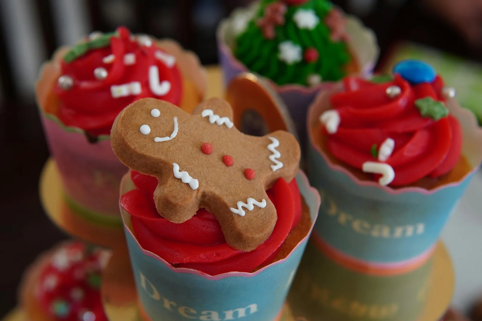 Celebrar Navidad lejos de Casa en Australia