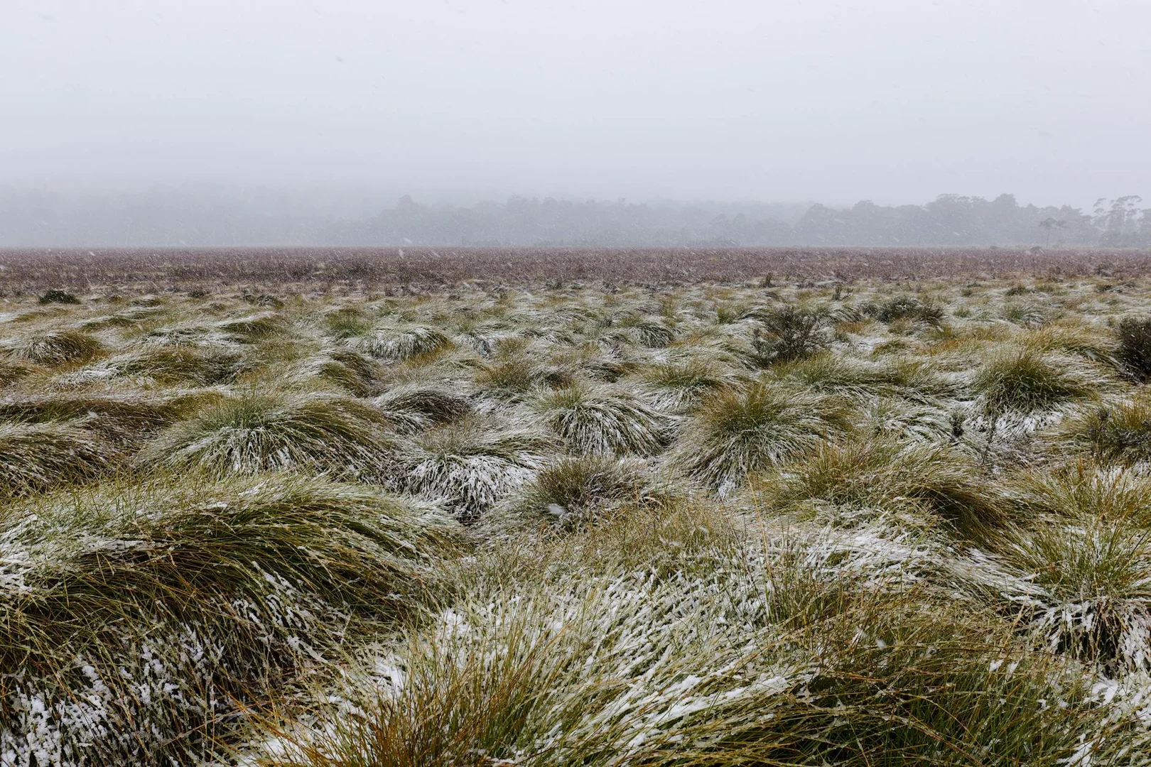 Sobrevivir tu Primer Invierno en Australia