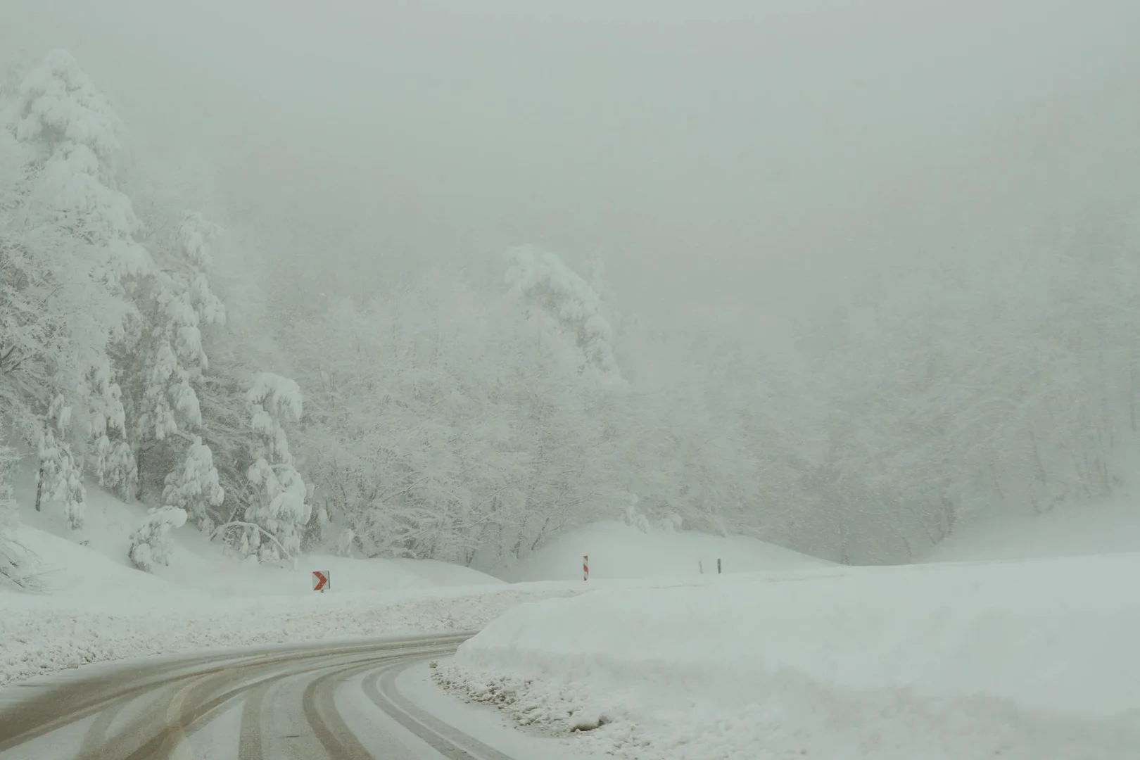 Sobrevivir tu Primer Invierno en Brasil