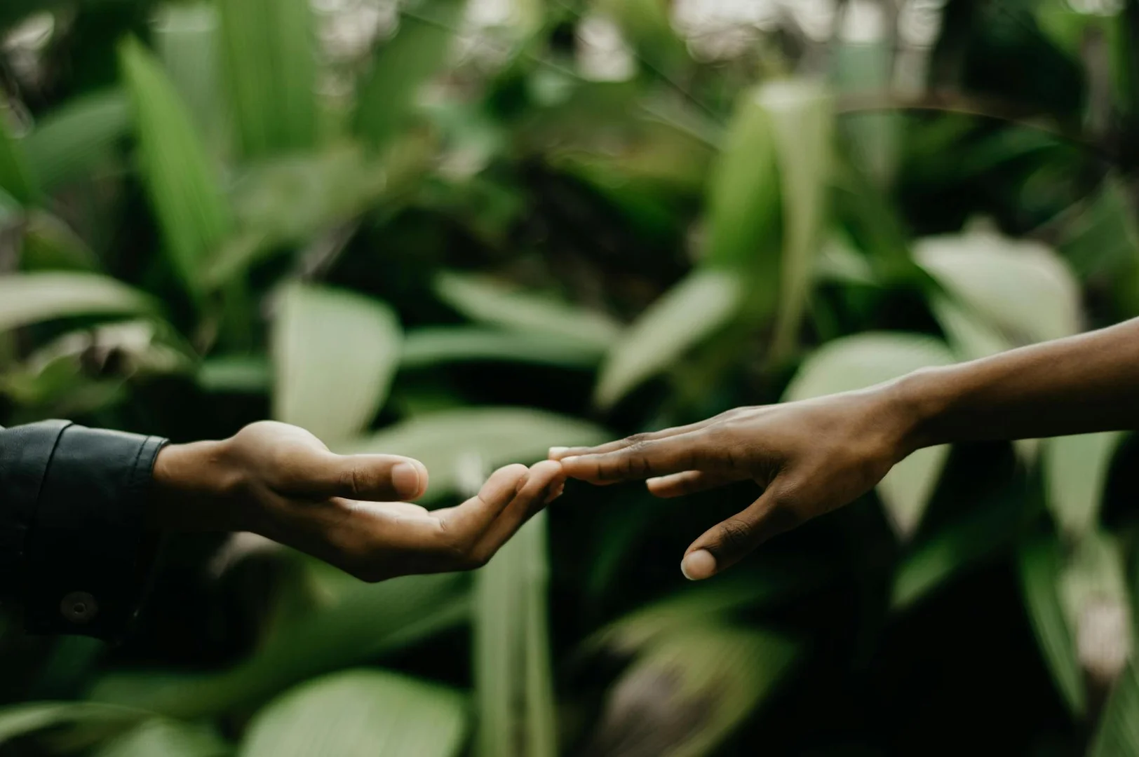 Como Ayudar a Otros Latinos que Llegan a Brasil
