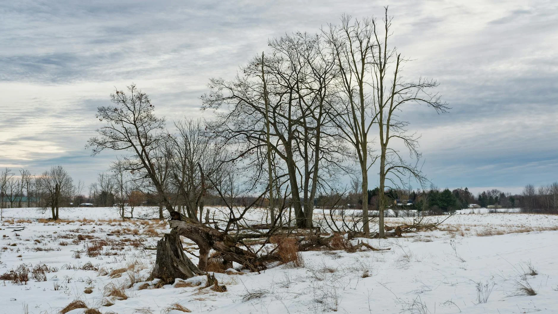 Sobrevivir tu Primer Invierno en Canadá