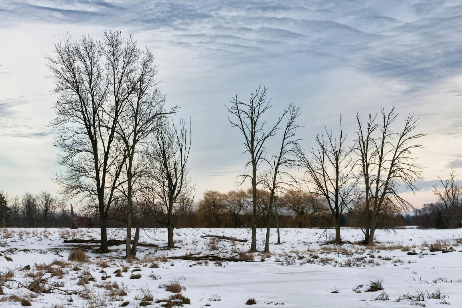Como Obtener Visa de Estudiante para Canadá