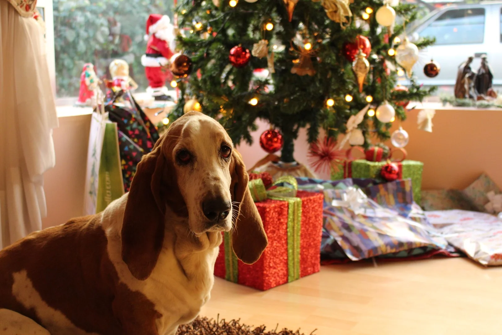 Celebrar Navidad lejos de Casa en Chile