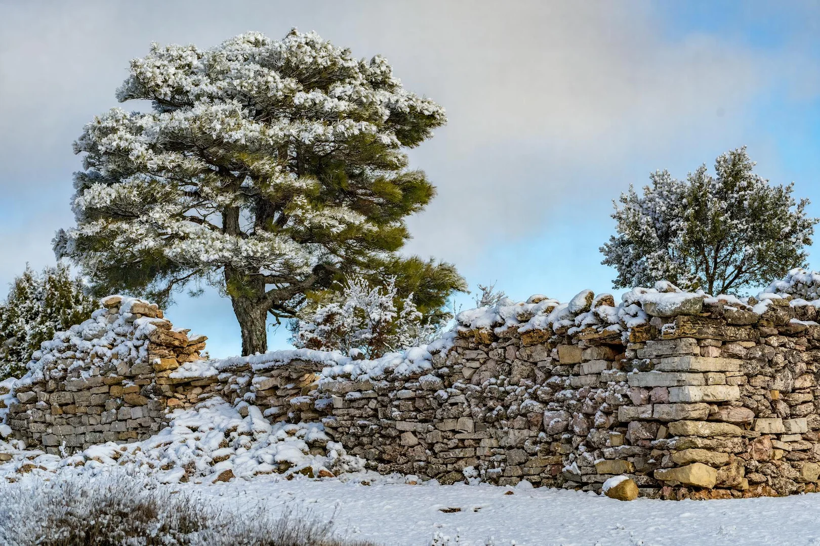 Sobrevivir tu Primer Invierno en España