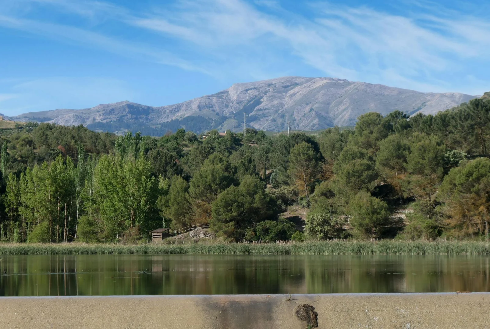 Renovar tus Documentos de Inmigracion en España 2024