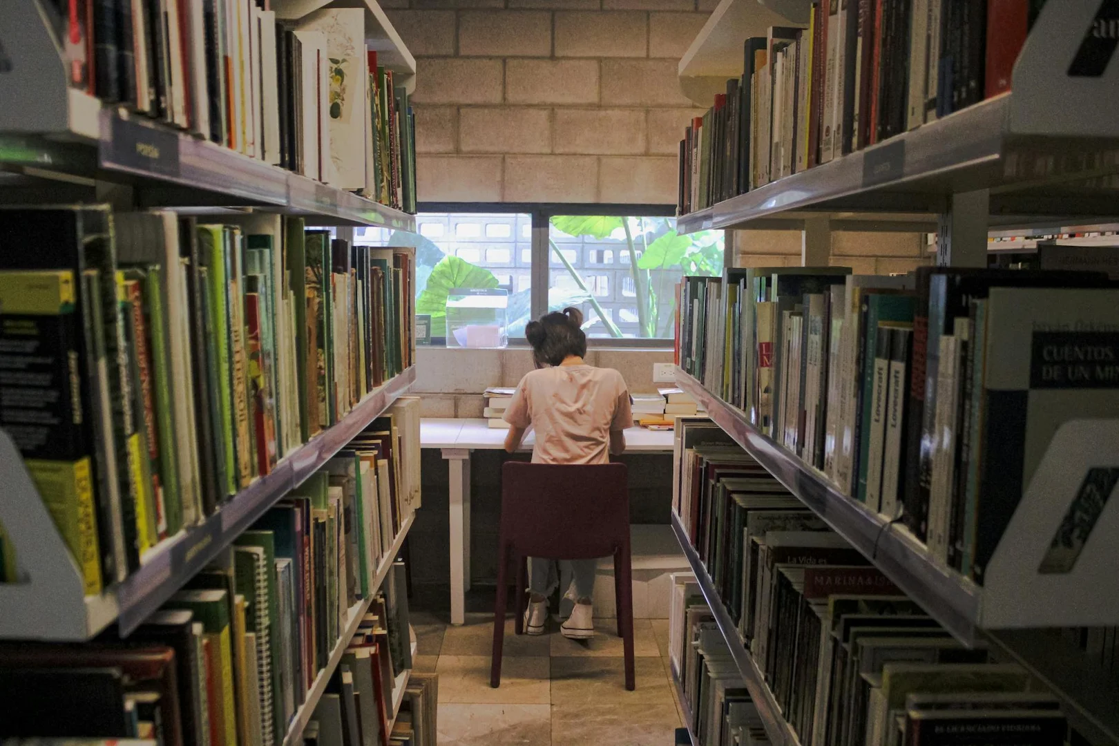 Estudiar Gratis o Barato en España