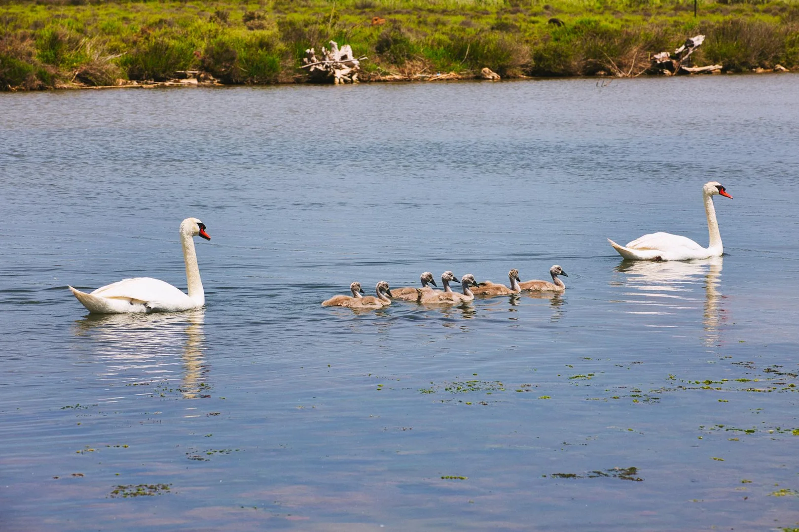 Traer a tu Familia a Francia 2025