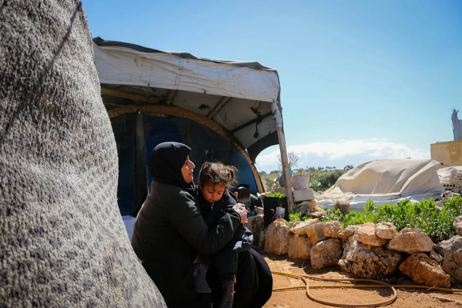 Solicitar Asilo o Refugio en Irlanda