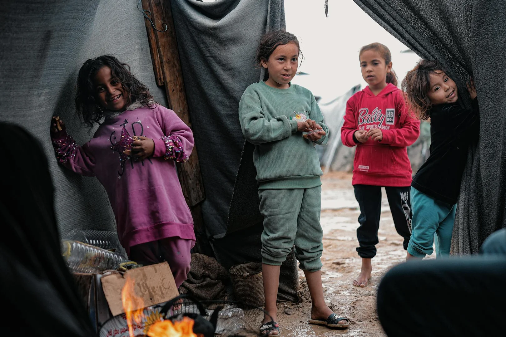 Solicitar Asilo o Refugio en Japón