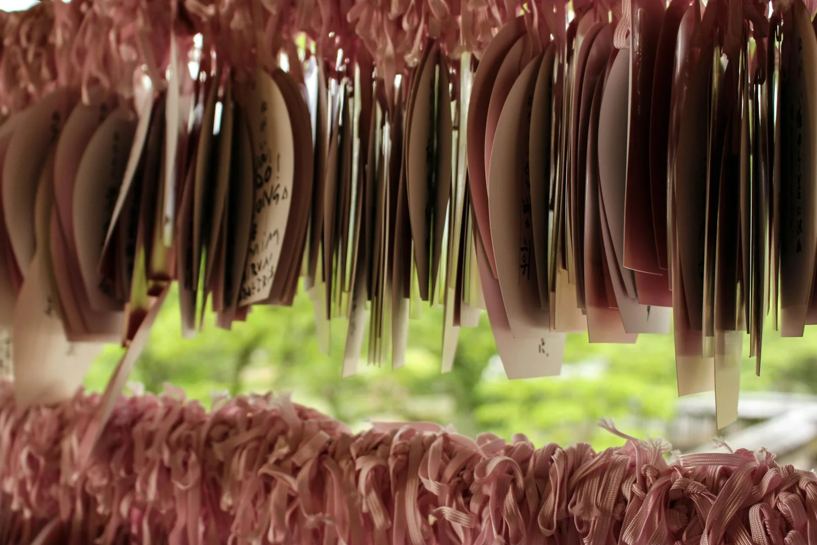 Obtener Residencia Permanente en Japón