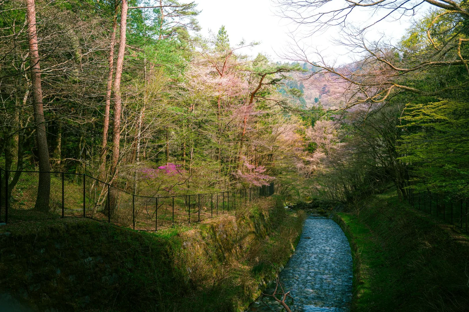 Como Obtener Permiso de Trabajo en Japón