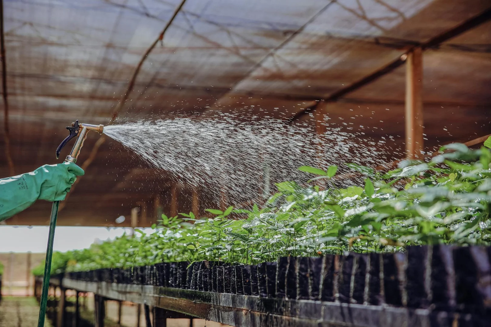 Guia del Sistema de Salud de Noruega