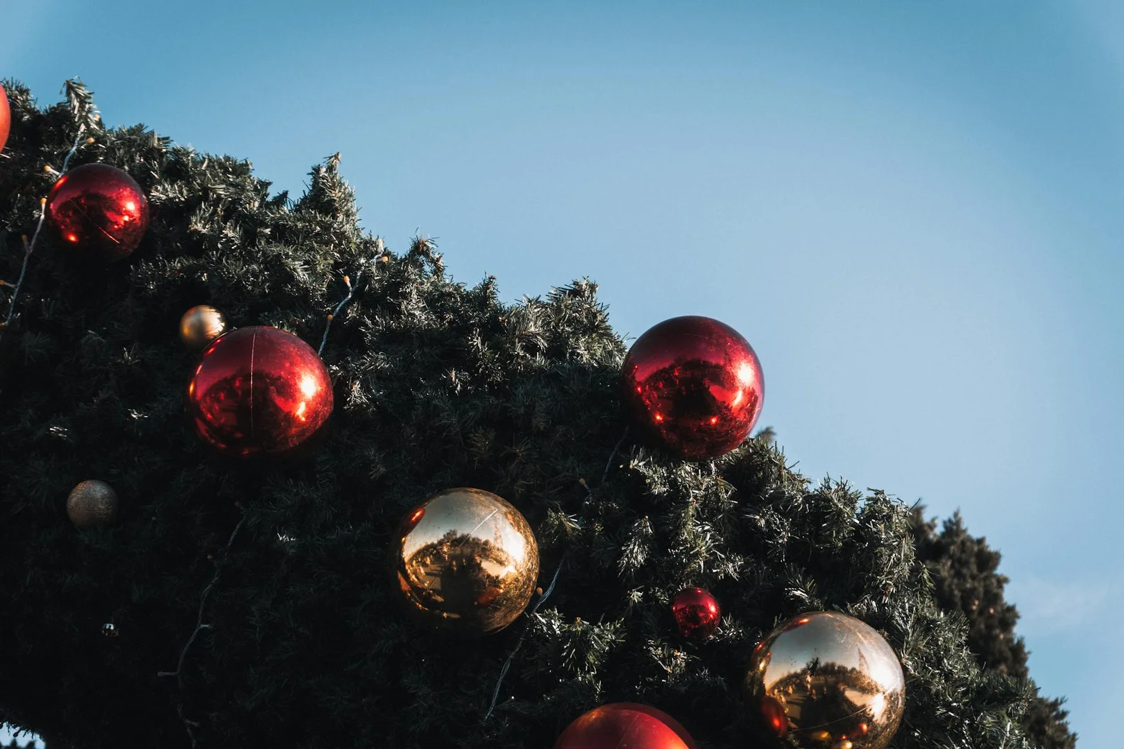 Celebrar Navidad lejos de Casa en Nueva Zelanda