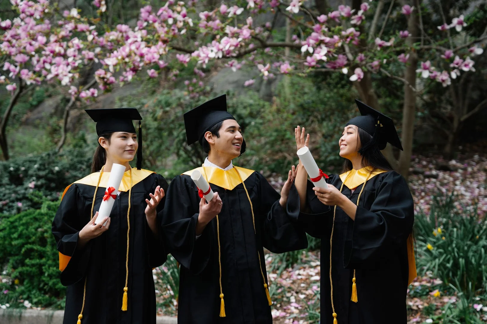 Como Homologar tu Titulo Universitario en Nueva Zelanda