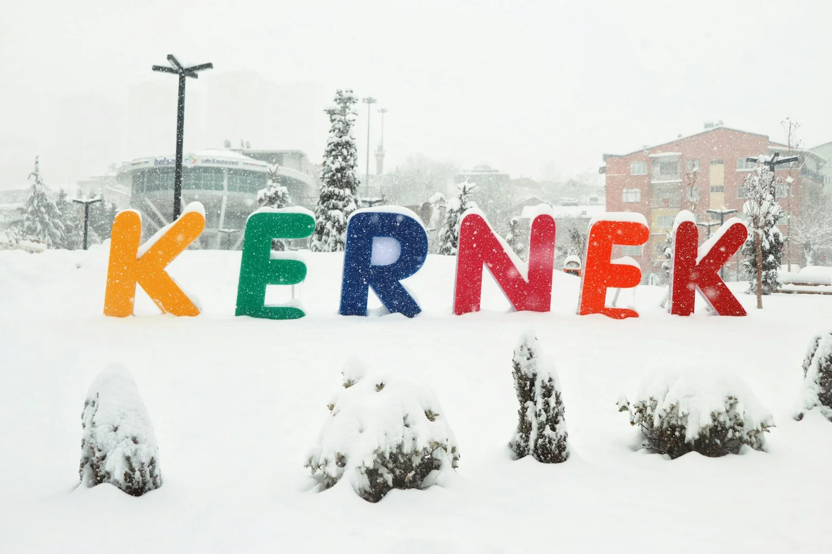 Sobrevivir tu Primer Invierno en Países Bajos