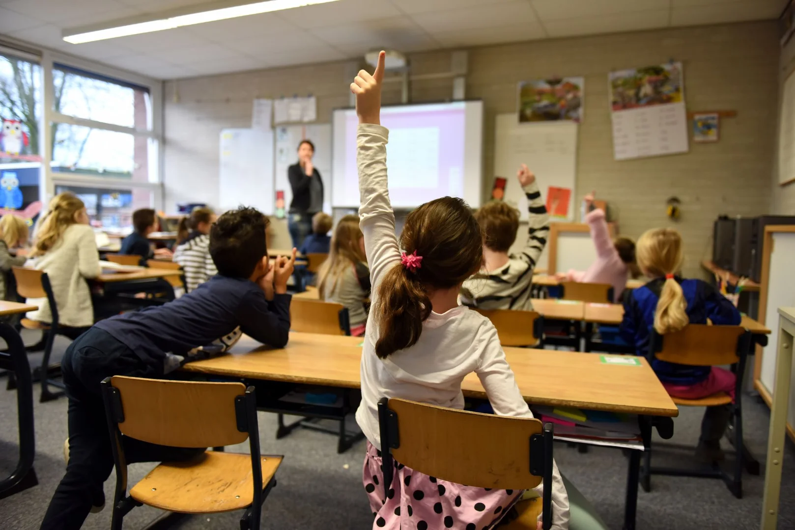 Mejores Cursos de Idiomas para Latinos en Países Bajos
