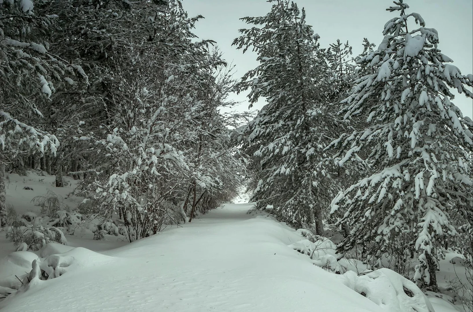 Sobrevivir tu Primer Invierno en Portugal