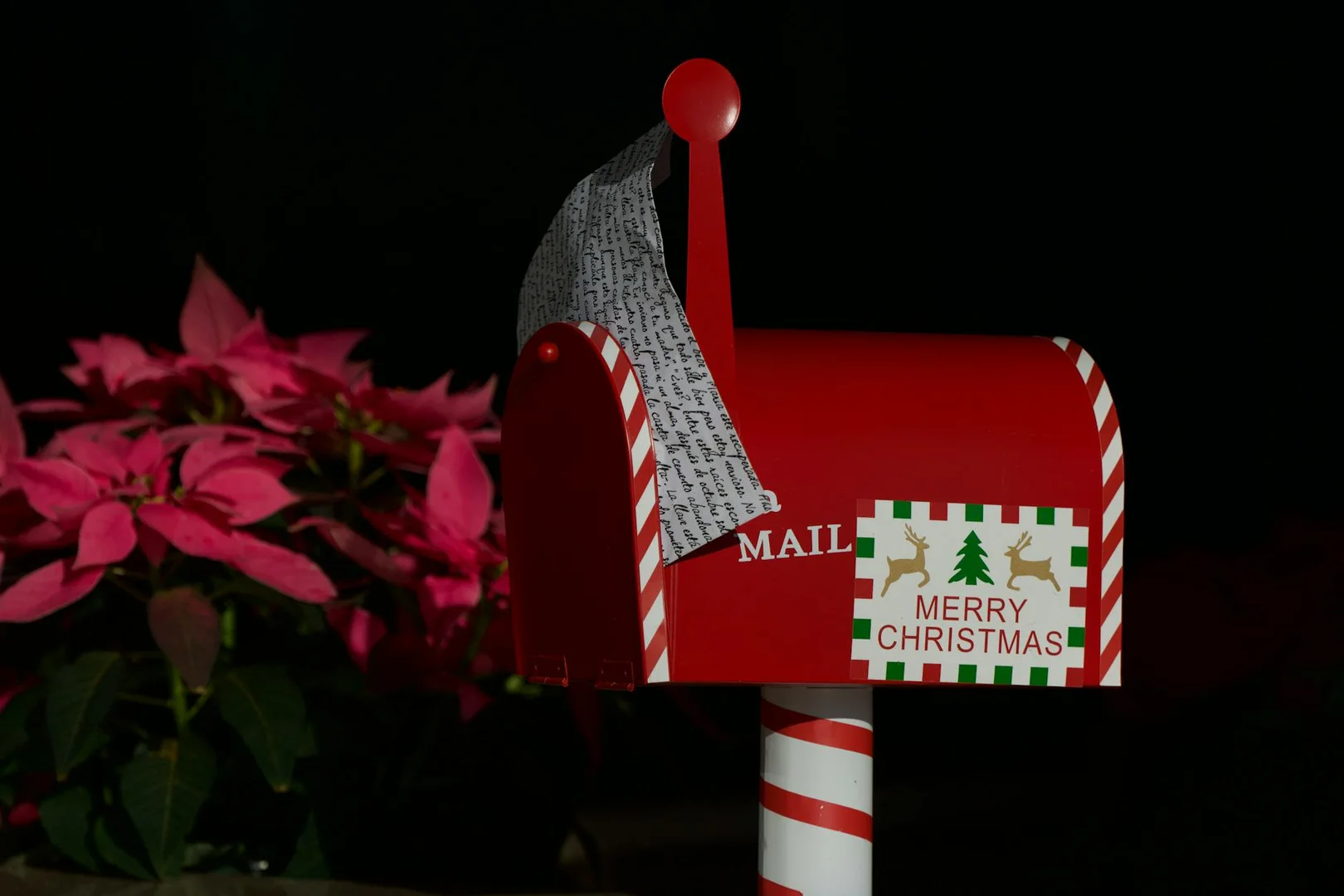 Celebrar Navidad lejos de Casa en Portugal