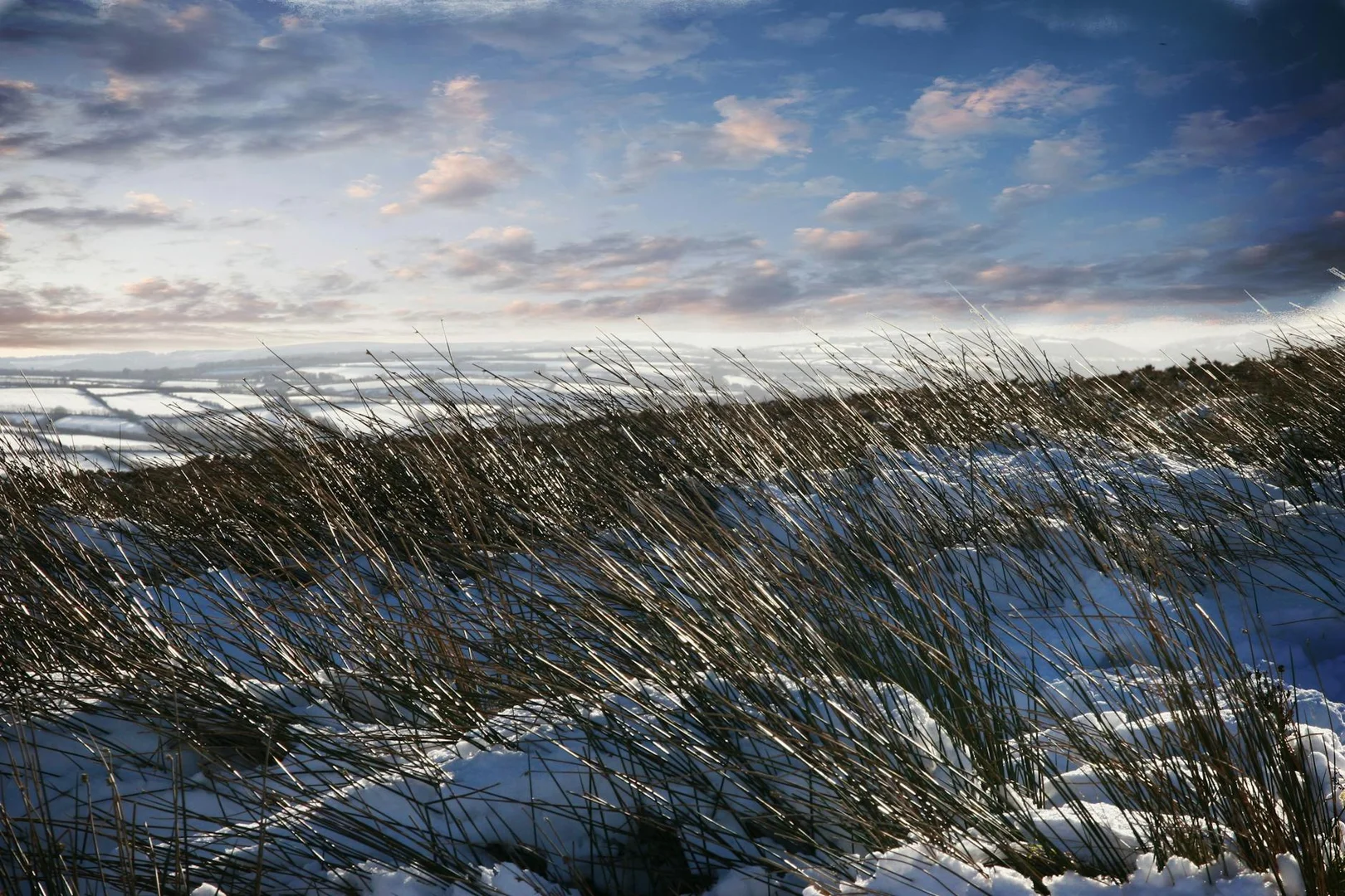 Sobrevivir tu Primer Invierno en Reino Unido