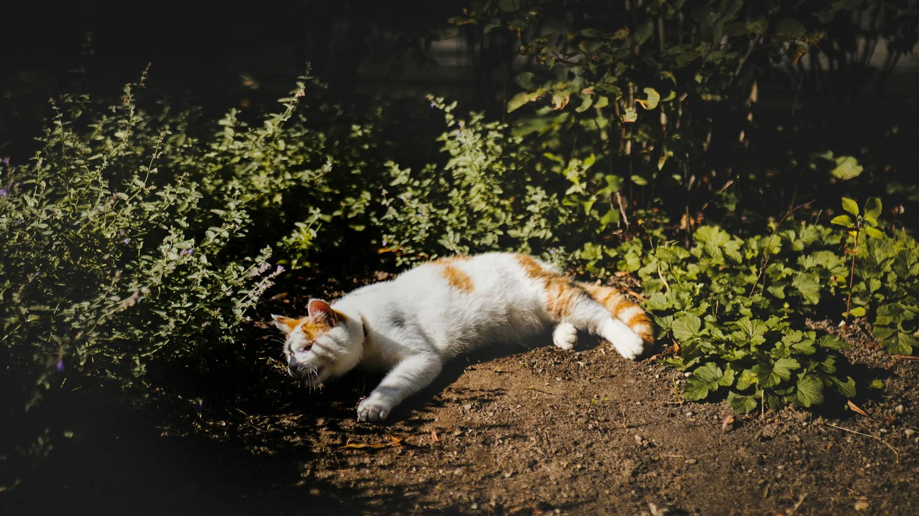 Empleos en Jardineria y Paisajismo en Suecia 2026