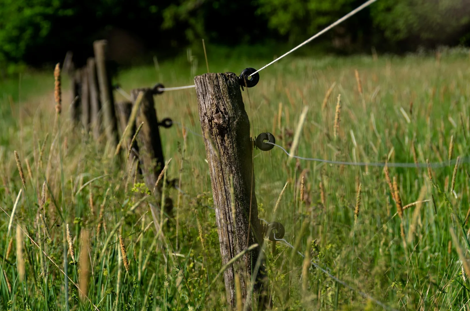 Obtener Residencia Permanente en Suecia