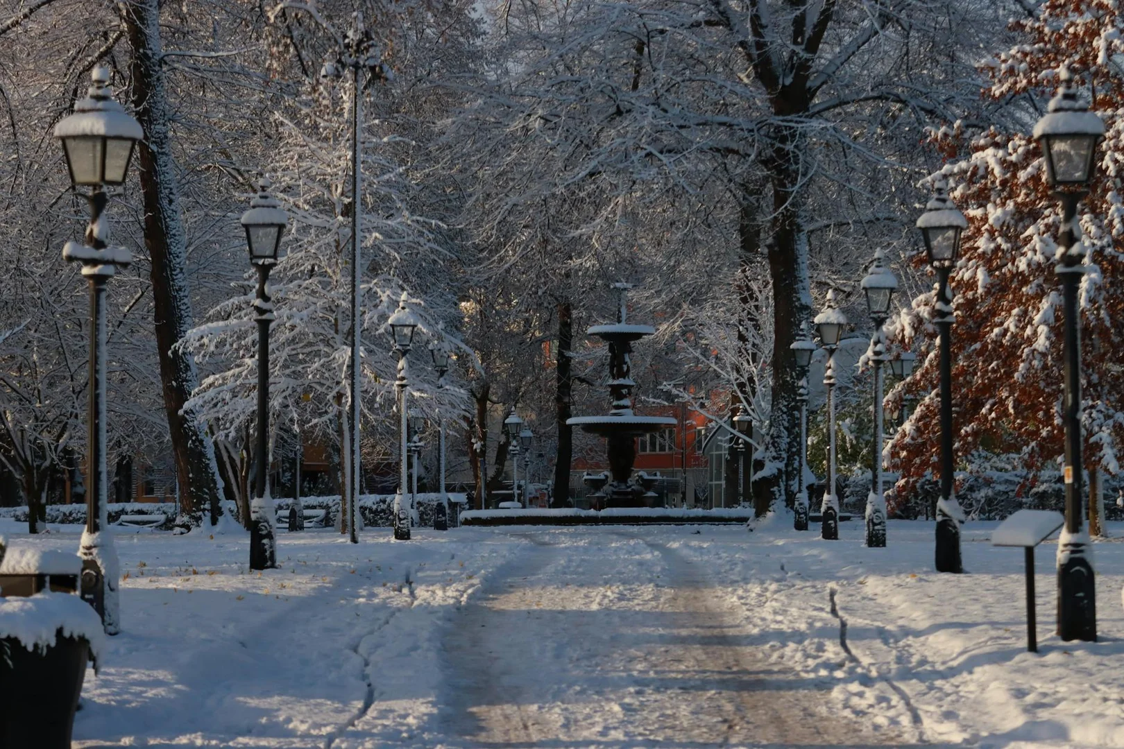 Sobrevivir tu Primer Invierno en Suecia