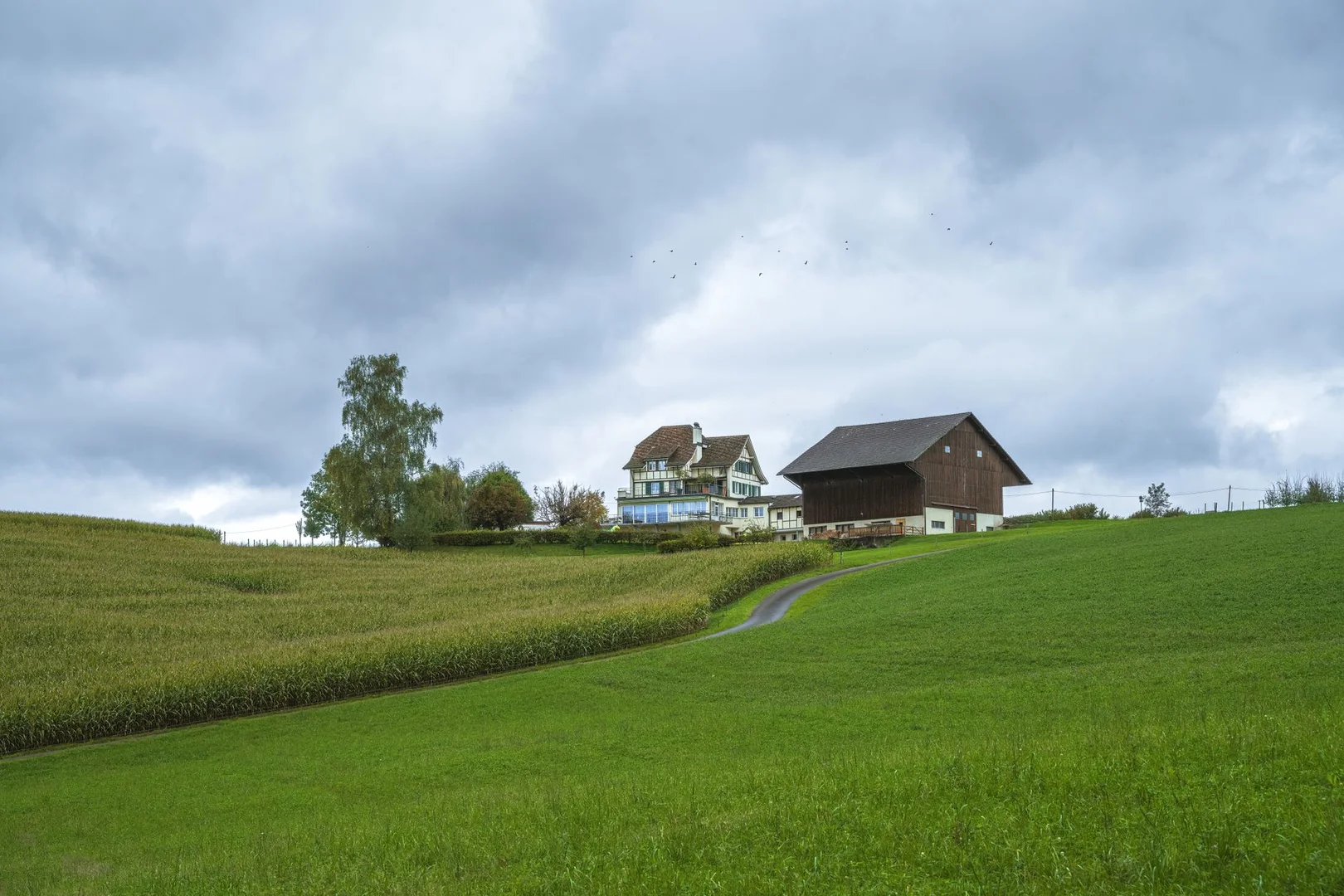 Obtener Residencia Permanente en Suiza