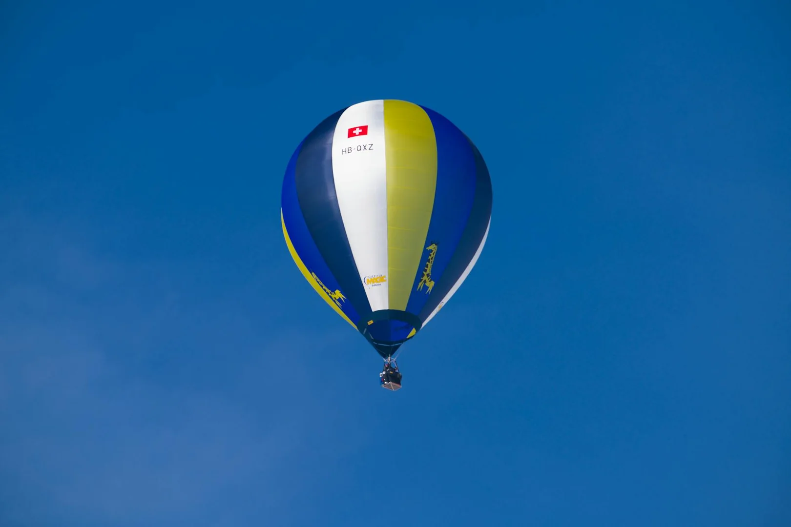 Convalidar Estudios Previos en Suiza 2024