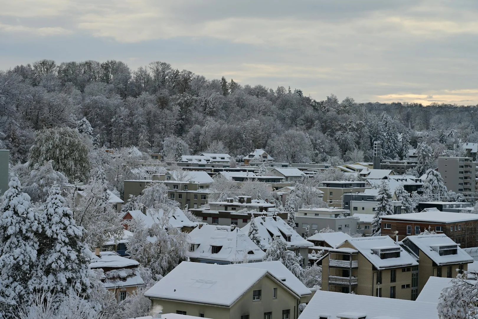 Sobrevivir tu Primer Invierno en Suiza