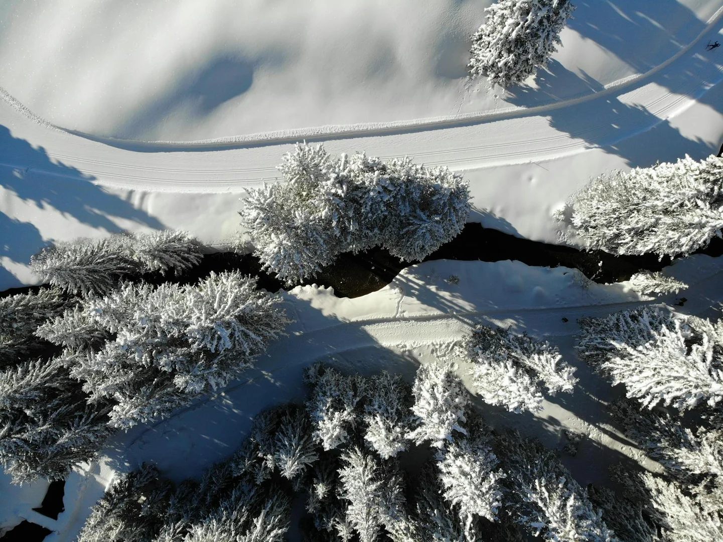 Sobrevivir tu Primer Invierno en Suiza