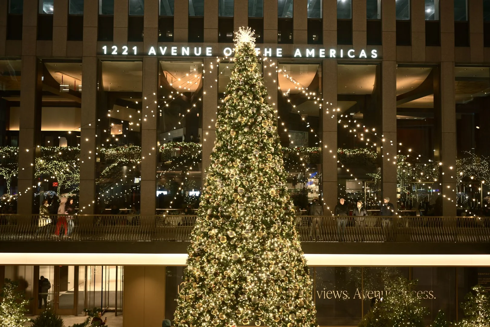 Celebrar Navidad lejos de Casa en Estados Unidos