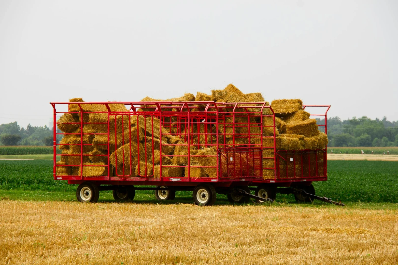 Trabajos Agricolas y de Campo en Canadá