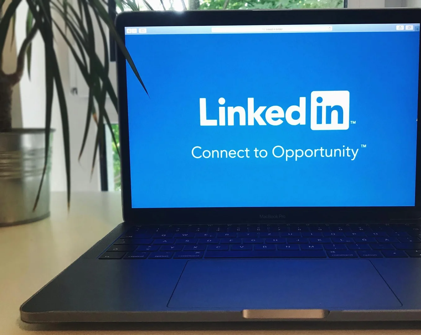 LinkedIn y Networking Profesional en Emiratos Árabes