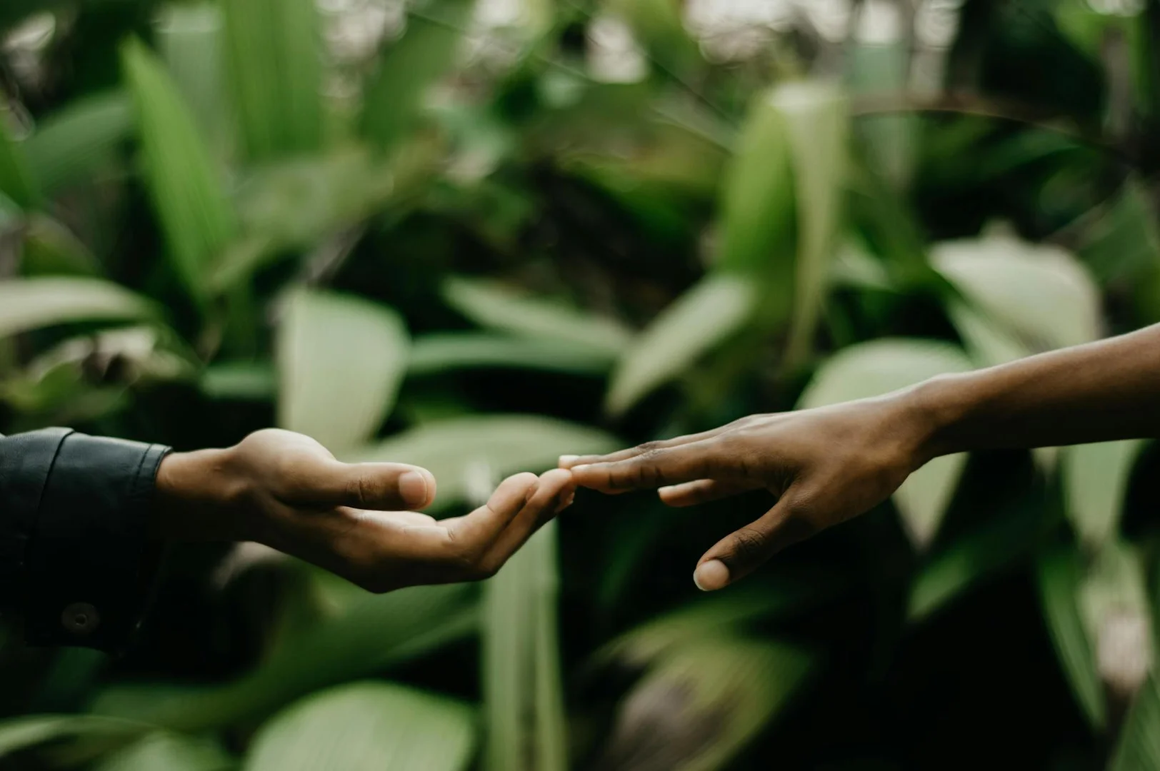 Como Ayudar a Recien Llegados Latinos en Brasil