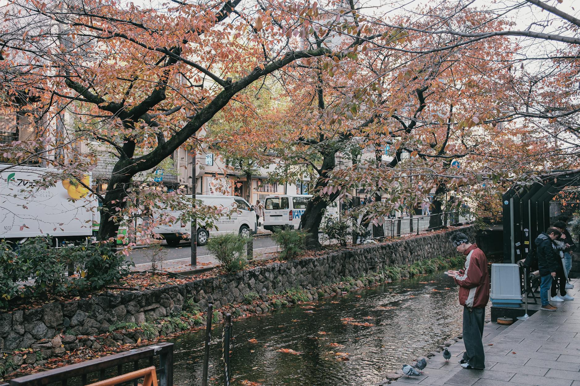 Vivir en Japón: Guia Completa para Latinos March 2020