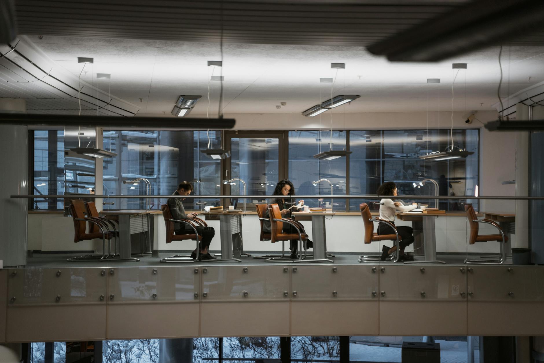 Aprender el Idioma en Nueva Zelanda: Estrategias Efectivas April 2020