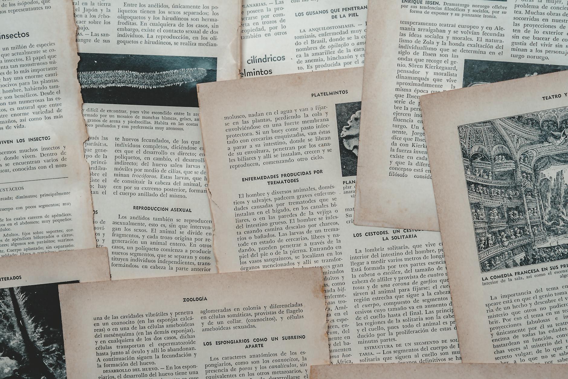 Aprender el Idioma en Singapur: Estrategias Efectivas April 2020