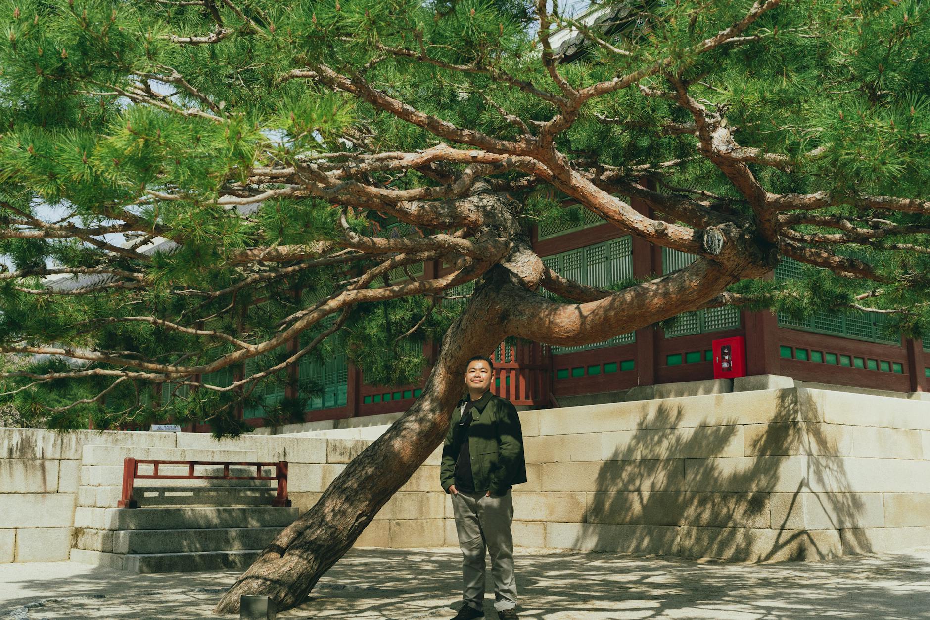 Vivir en Suecia: Guia Completa para Latinos May 2020